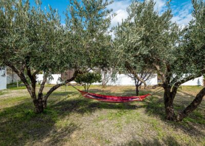 Rhodes Holidays Evilion Villa