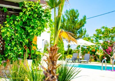 Rhodes Holidays Evilion Villa
