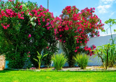 Rhodes Holidays Evilion Villa